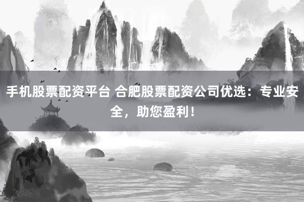 手机股票配资平台 合肥股票配资公司优选：专业安全，助您盈利！