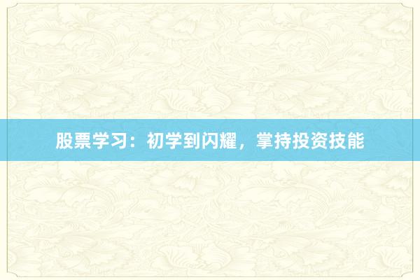 股票学习：初学到闪耀，掌持投资技能
