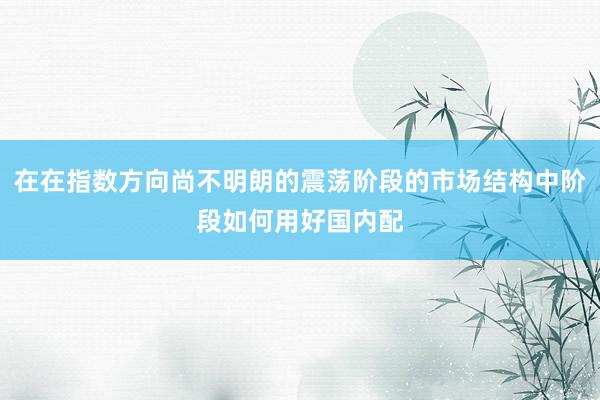 在在指数方向尚不明朗的震荡阶段的市场结构中阶段如何用好国内配