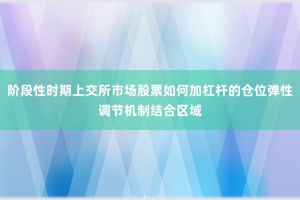 阶段性时期上交所市场股票如何加杠杆的仓位弹性调节机制结合区域