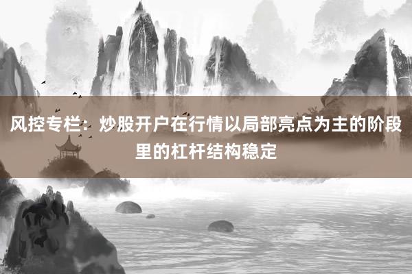 风控专栏：炒股开户在行情以局部亮点为主的阶段里的杠杆结构稳定