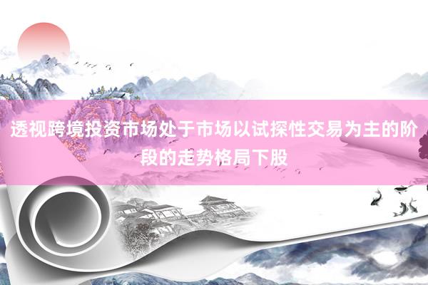 透视跨境投资市场处于市场以试探性交易为主的阶段的走势格局下股
