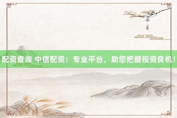 配资查询 中信配资：专业平台，助您把握投资良机！