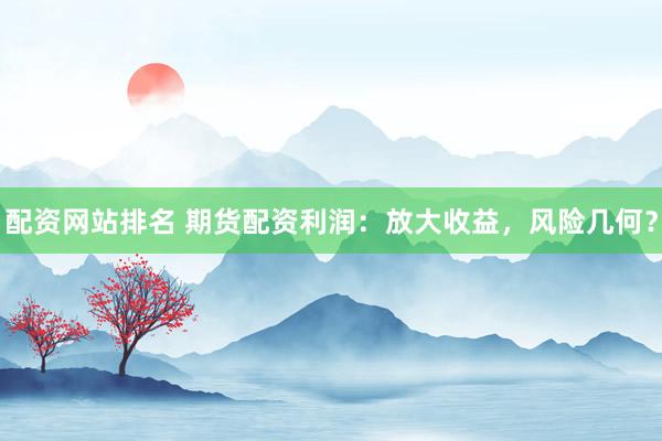 配资网站排名 期货配资利润：放大收益，风险几何？