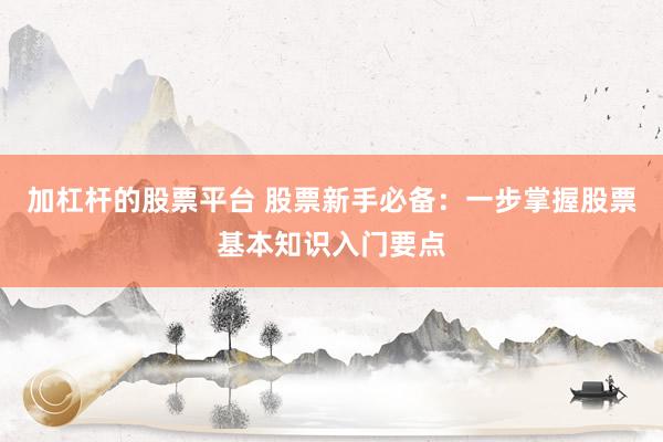 加杠杆的股票平台 股票新手必备：一步掌握股票基本知识入门要点